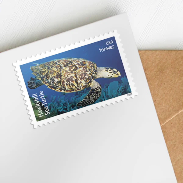 Protect Sea Turtles USPS Forever Stamps - Sheet of 18 (5-Pack) - Floral, Garden & Wildlife Stamps product image