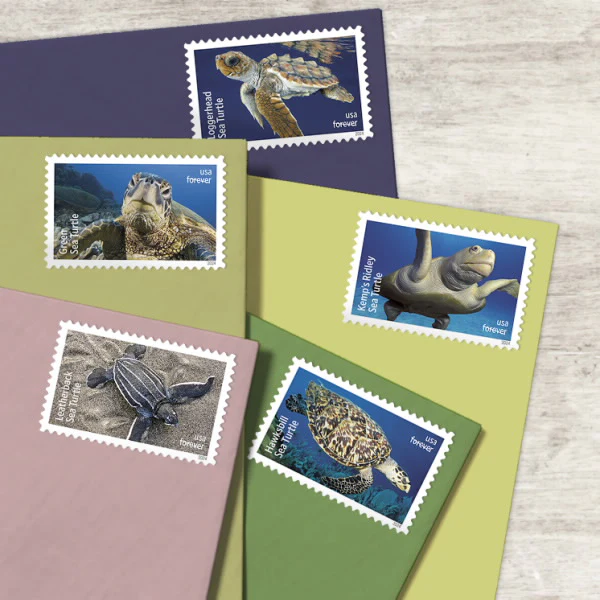 Protect Sea Turtles USPS Forever Stamps - Sheet of 18 (5-Pack) - Floral, Garden & Wildlife Stamps product image