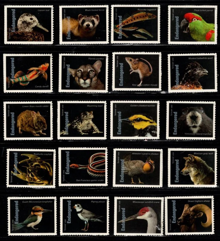 Endangered Species 2023 USPS Forever Stamps - Sheet of 20 (5-Pack) - Floral, Garden & Wildlife Stamps product image
