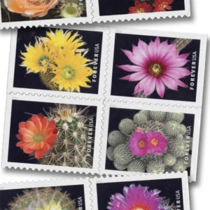 Cactus Flowers 2019 USPS Forever Stamps - Booklet of 20 (5-Pack) - Commemorative & Heritage Stamps product image