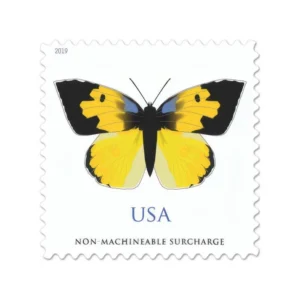 California Dogface Butterfly 2019 USPS Forever Stamps - Sheet of 20 (5-Pack) - Floral, Garden & Wildlife Stamps product image