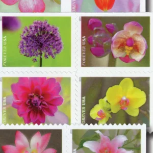 Garden Beauty 2021 USPS Forever Stamps - Booklet of 20 (5-Pack) - Commemorative & Heritage Stamps product image