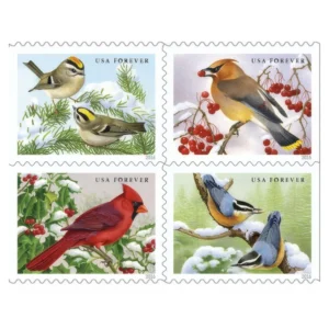 Songbirds in Snow 2016 USPS Forever Stamps - Booklet of 20 (5-Pack) - Floral, Garden & Wildlife Stamps product image