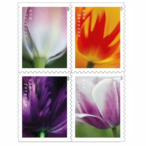 Tulip Blossoms 2023 USPS Forever Stamps - Booklet of 20 (5-Pack) - Commemorative & Heritage Stamps product image
