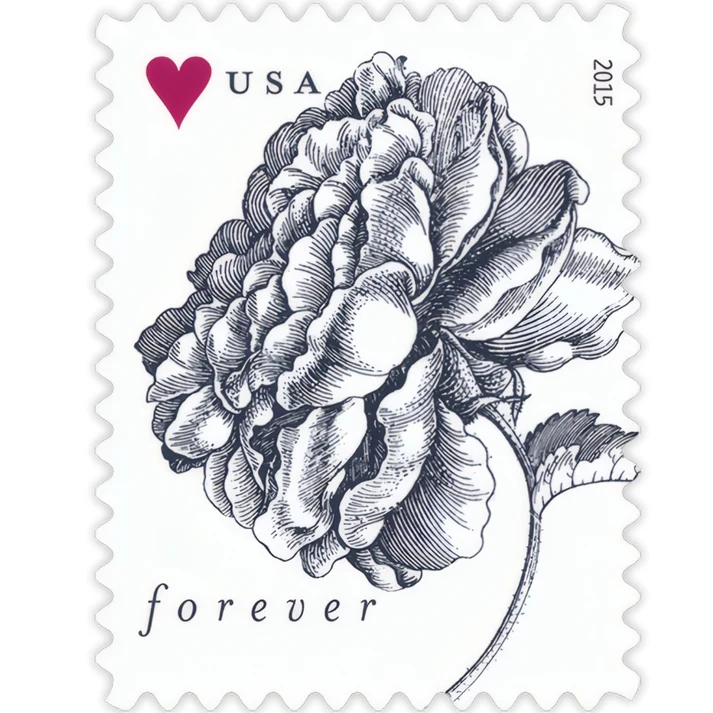 Vintage Rose 2015 USPS Forever Stamps - Sheet of 20 (5-Pack) - Commemorative & Heritage Stamps product image