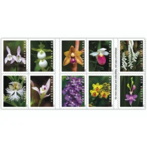 Wild Orchids 2020 USPS Forever Stamps - Booklet of 20 (5-Pack) - Commemorative & Heritage Stamps product image