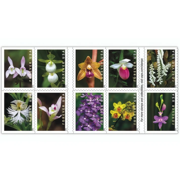Wild Orchids 2020 USPS Forever Stamps - Booklet of 20 (5-Pack) - Commemorative & Heritage Stamps product image
