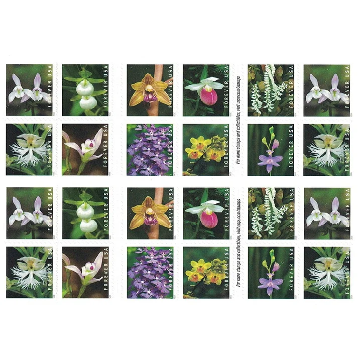 Wild Orchids 2020 USPS Forever Stamps - Booklet of 20 (5-Pack) - Commemorative & Heritage Stamps product image