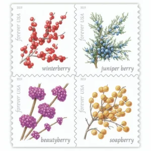 Winter Berries 2019 USPS Forever Stamps - Booklet of 20 (5-Pack) - Commemorative & Heritage Stamps product image