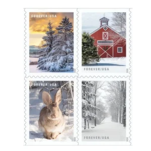 Winter Scenes 2020 USPS Forever Stamps - Booklet of 20 (5-Pack) - Commemorative & Heritage Stamps product image