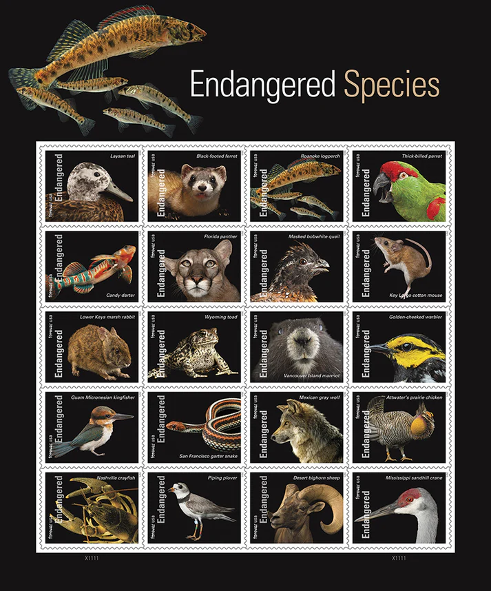 Endangered Species 2023 USPS Forever Stamps - Sheet of 20 (5-Pack) - Floral, Garden & Wildlife Stamps product image