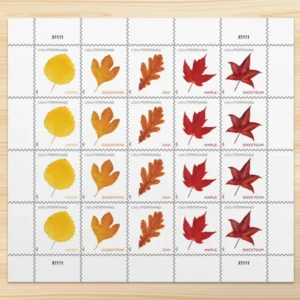 Vibrant Leaves 2025 USPS Forever Stamps - Sheet of 20 (5-Pack) - Commemorative & Heritage Stamps product image