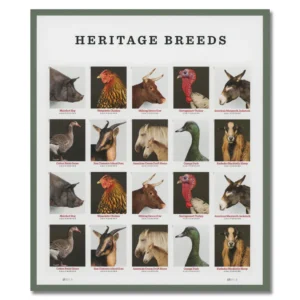 Heritage Breeds 2021 USPS Forever Stamps - Sheet of 20 (5-Pack) - Commemorative & Heritage Stamps product image