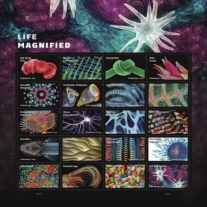 Life Magnified 2023 USPS Forever Stamps - Sheet of 20 (5-Pack) - Art, Kids & Topical Culture product image